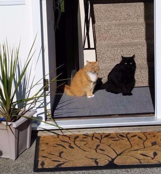 Немного милоты