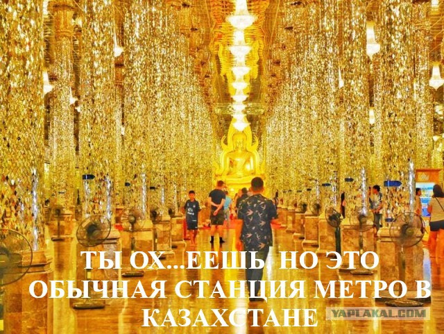 Фотоприколы и картинки разные на пятницу