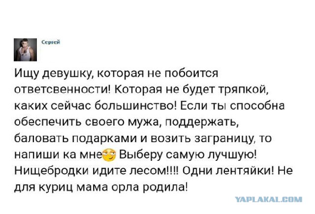 Анекдоты, соц-сети и картинки с надписями