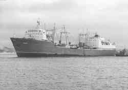 Магазины и заведения общепита поселка Нижняя Крынка, 1950-1980 г