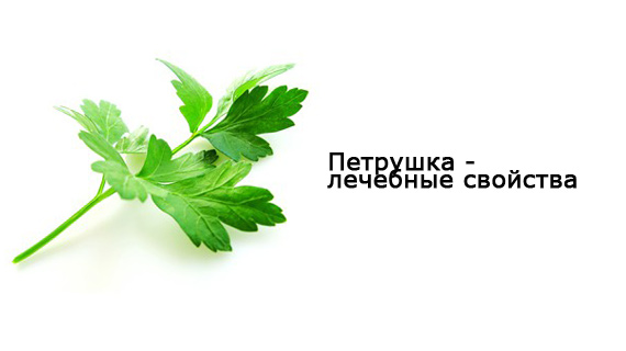 Когда впервые встретил дружелюбного гиганта