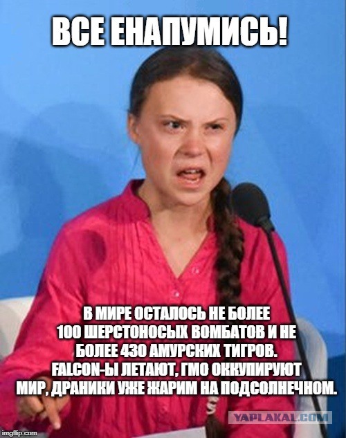 Все енапумись