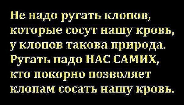 Итак, с долларом по 80 идем голосовать за путинскую Конституцию?