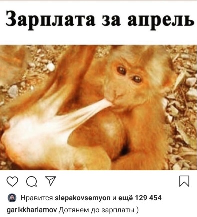 Картинки из рабочего чата 23.04