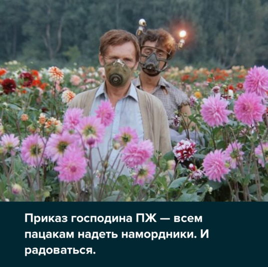Кин-Дза-Дза в Хабаровске