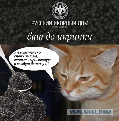 Выиграй 3кг черной икры!