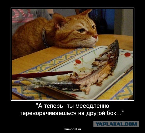 10 самых странных вещей, запрещенных в Китае