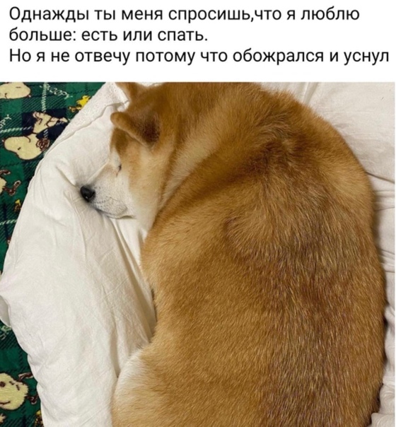 Баянисто-небаянистый юмор 23.03.21
