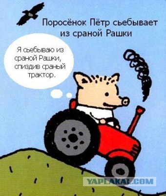 Хрюша решилась на побег