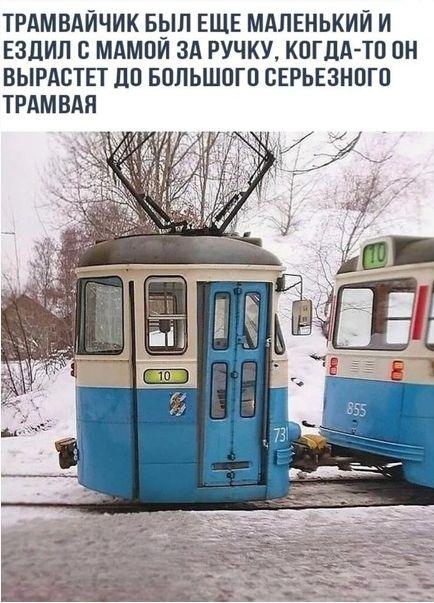 Насохранял