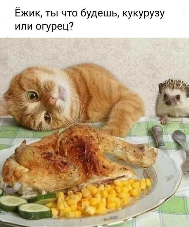 Так себе картинки 29.04.21