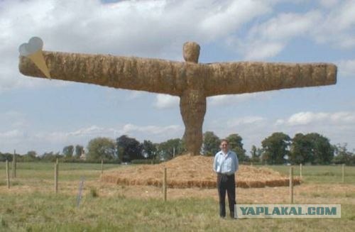 Сено косить - не мелочь по карманам тырить