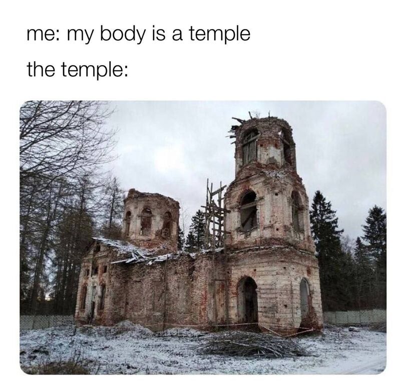 16029498.jpg