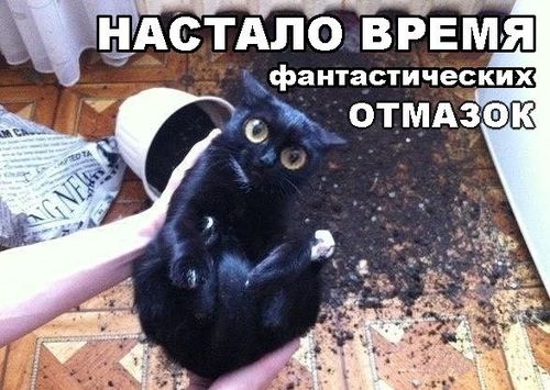 Котательная сводка за пять минут