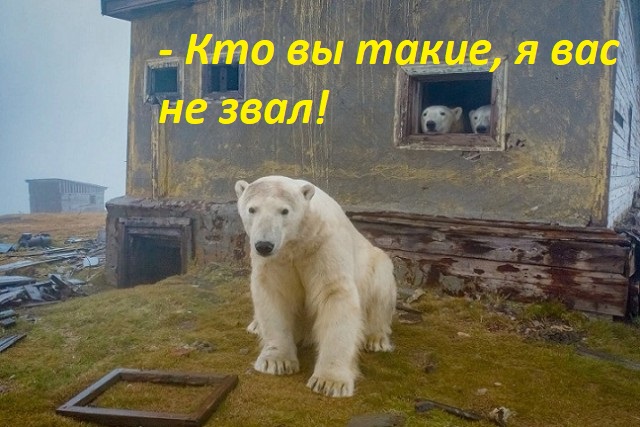40 картинок разных 14.03.2022