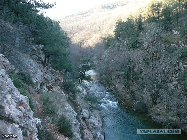 Форель, горный Крым.