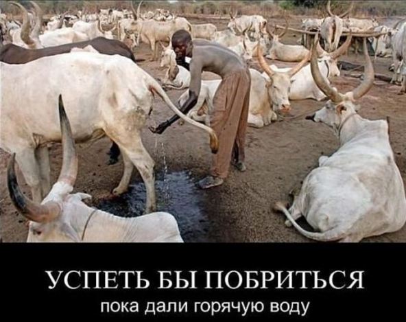 Картинки и мемы. Выходные близко...