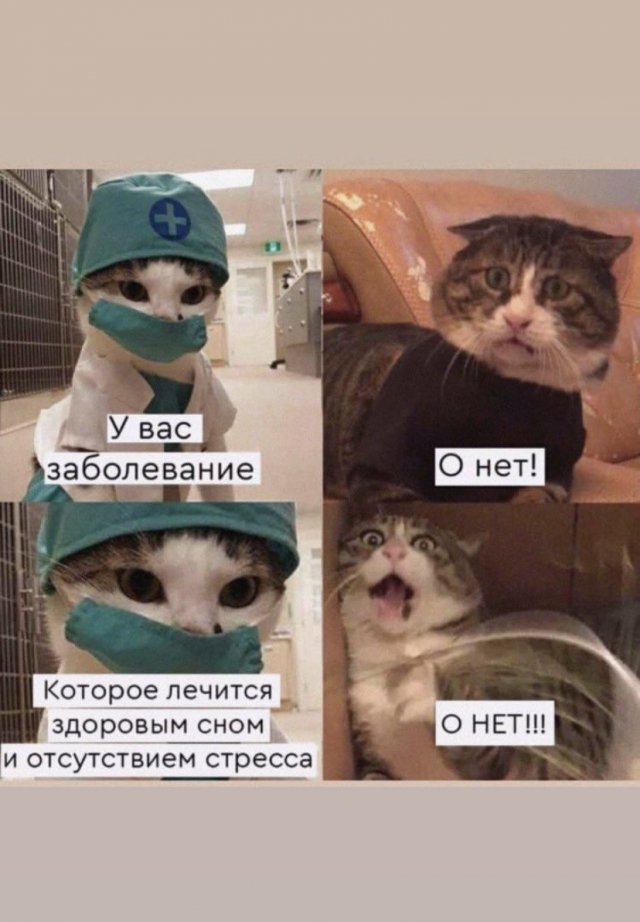 Замолчи мама