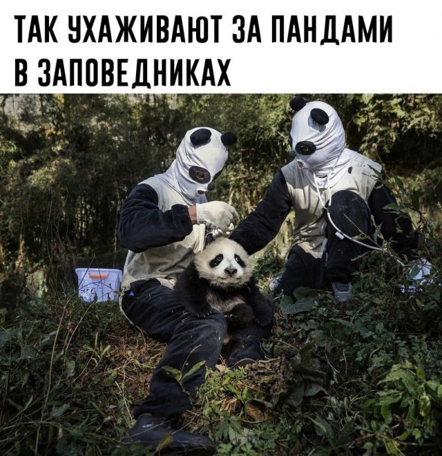 Немного картинок для настроения - 165