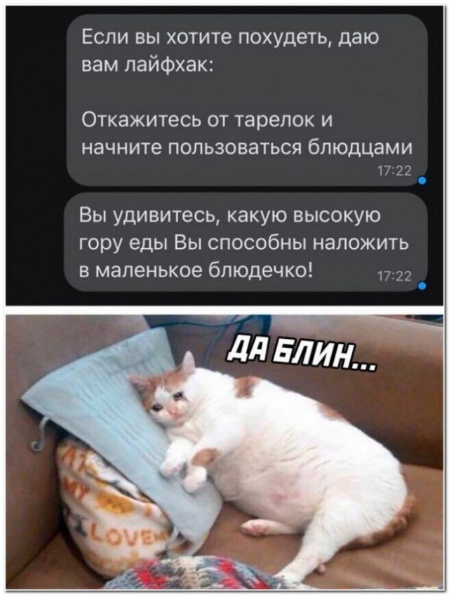 Картинки и мемы, всем хороших выходных