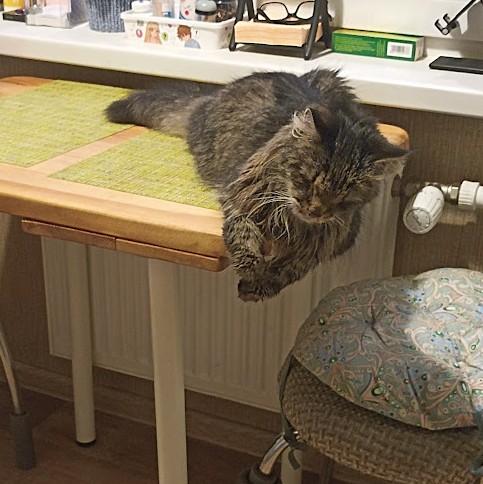 Дзен-котизм