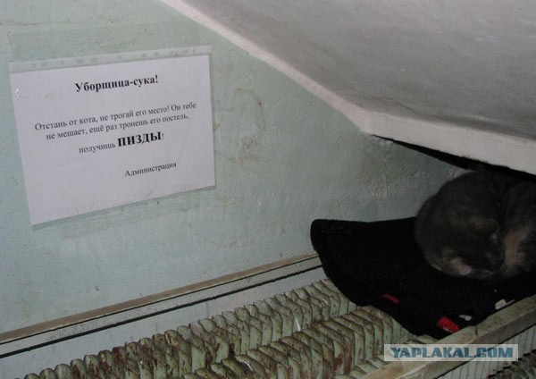 Боянчики на пятницу