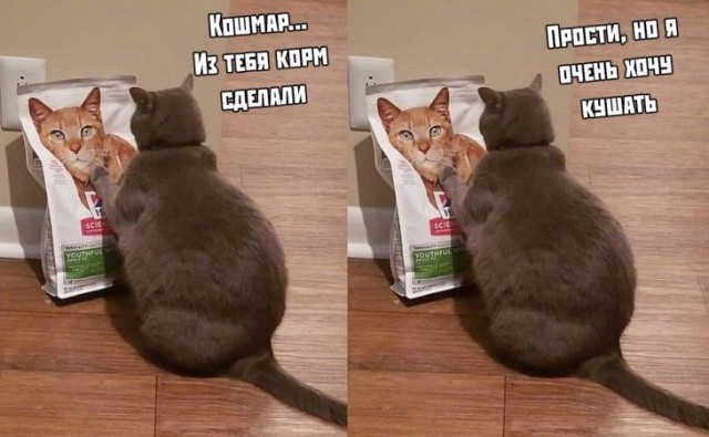 Винтажное барахло (Бояны)