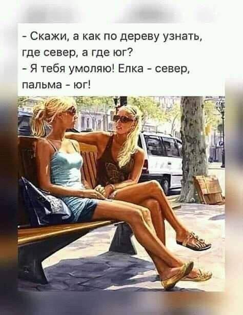 Так себе картинки 15.07.24