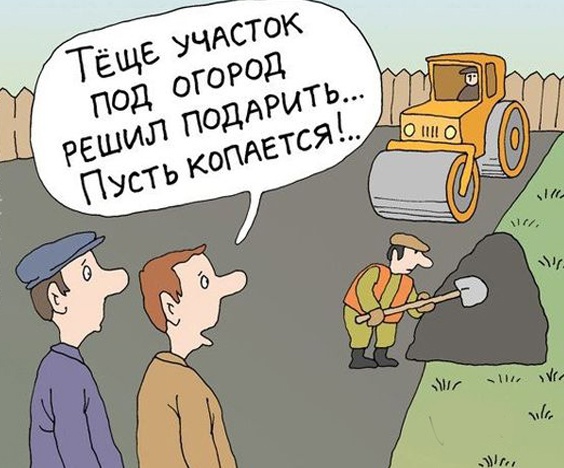 Так себе картинки 30.10.24
