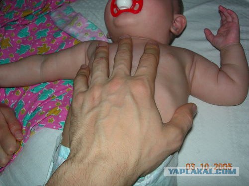Забавные карапузы