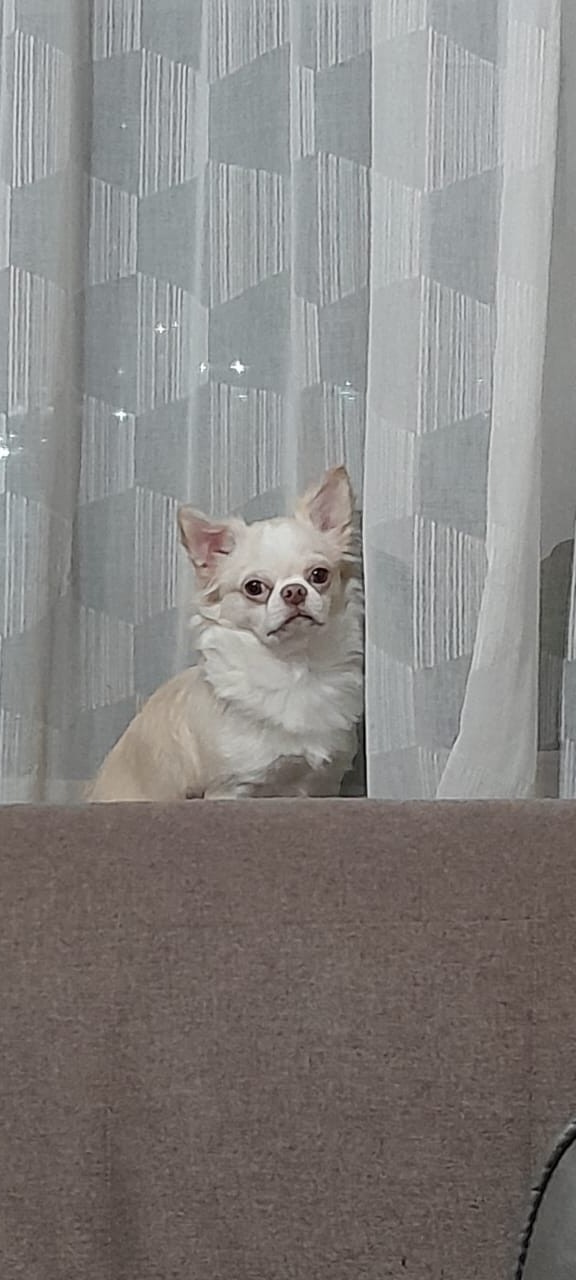 Ну а что? Мне понравилось...