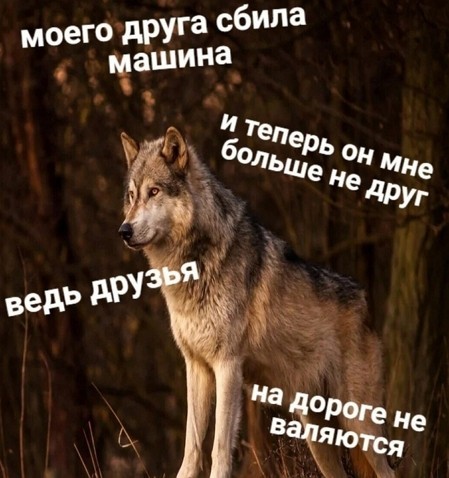 Картинок немного