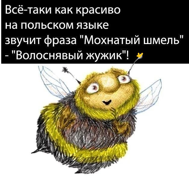 Картинки разные с надписями и без