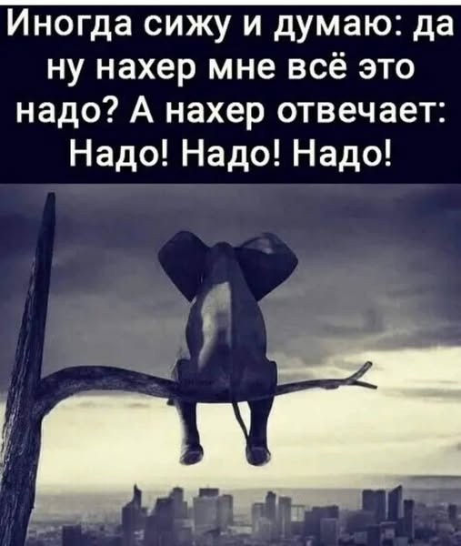 Завалялось тут случайно немного забавных картинок