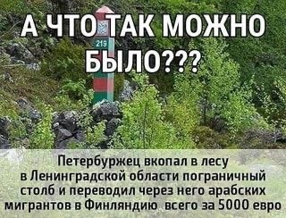 Так себе картинки 28.06.25