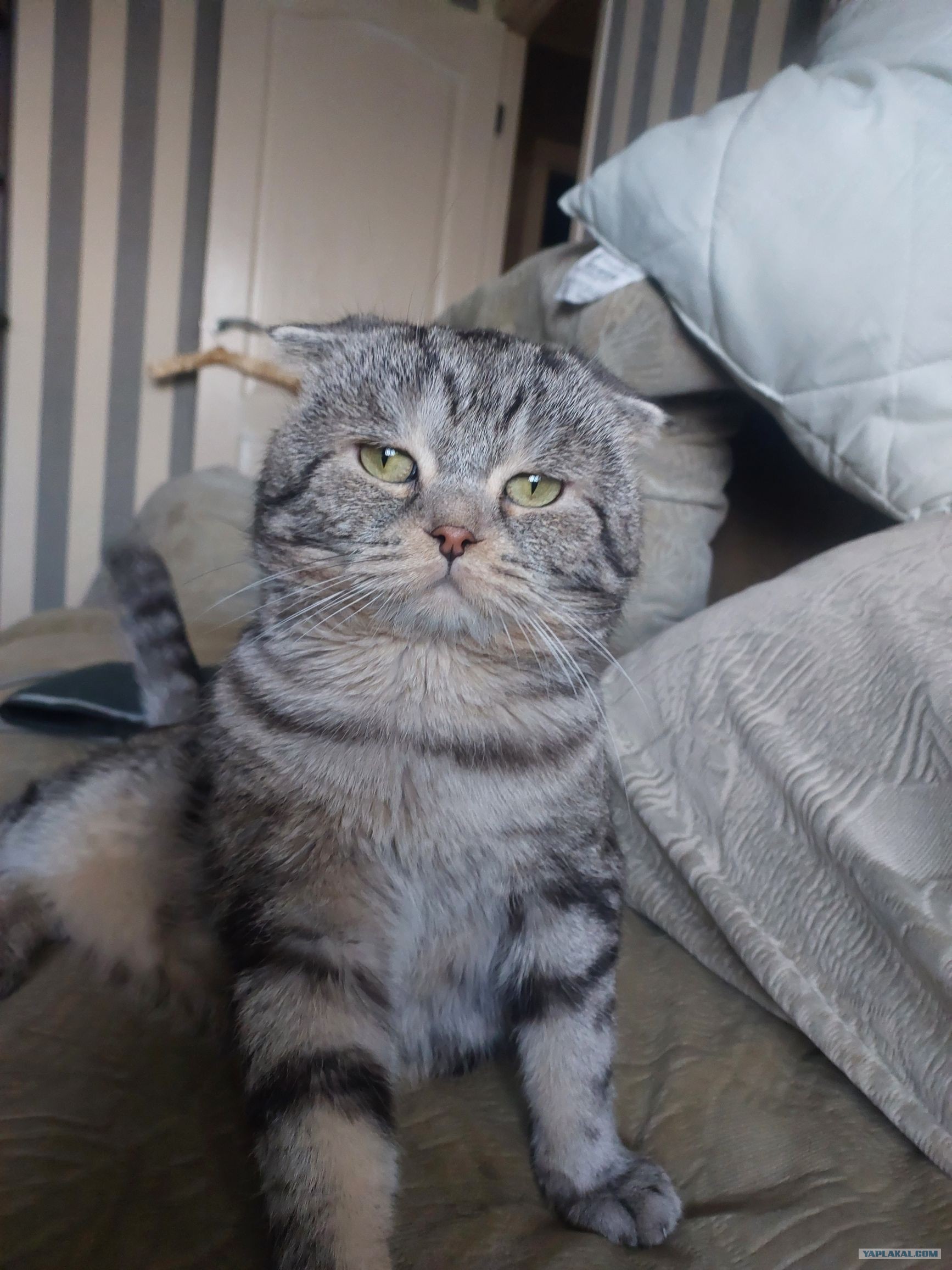 Здравствуйте, меня зовут Семён