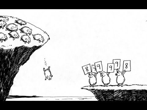 Beef on a cliff