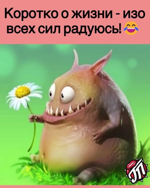 Как работает фссп
