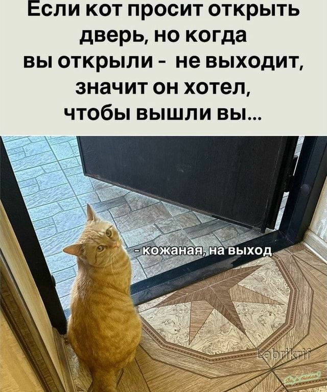 Максимальная не заинтересованность - разводилово