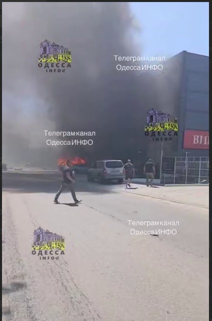 Про кота-сфинкса