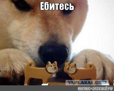 Соседка попросила посмотреть колонку, которая сломалась