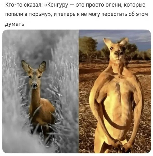 Да, да вот здесь почеши