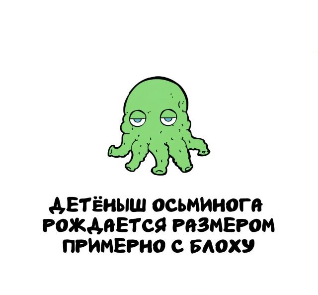 Интересные и короткие факты, на все случаи жизни