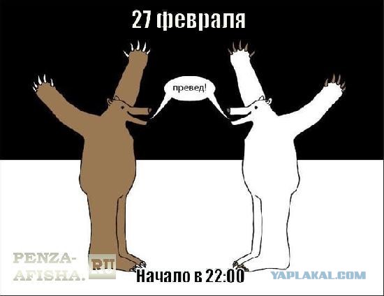 Пришел к людям просить защиты от косаток