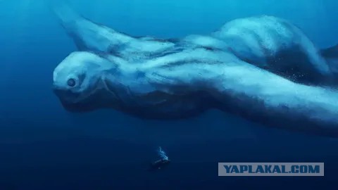 На месте Москвы плескалось море. Какие следы оно оставило