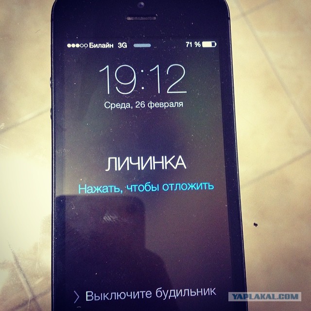 Как покакать на свидании