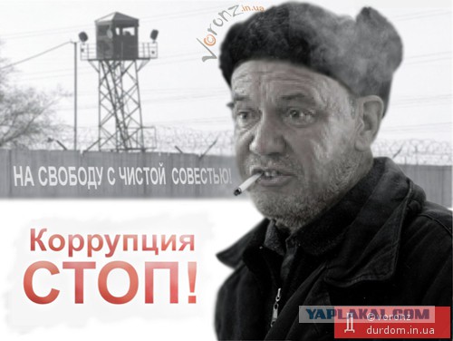 В память всем погибшим бойцам Беркута и ВВ