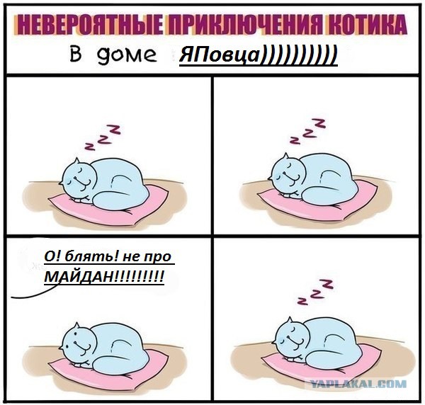 Невероятные приключения котика в доме программиста