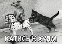 Молния от Стрелкова: огромные колонны украинских в