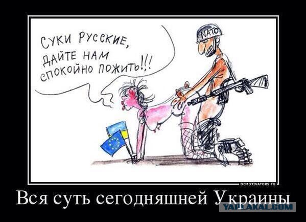 Гелетей выиграл войну